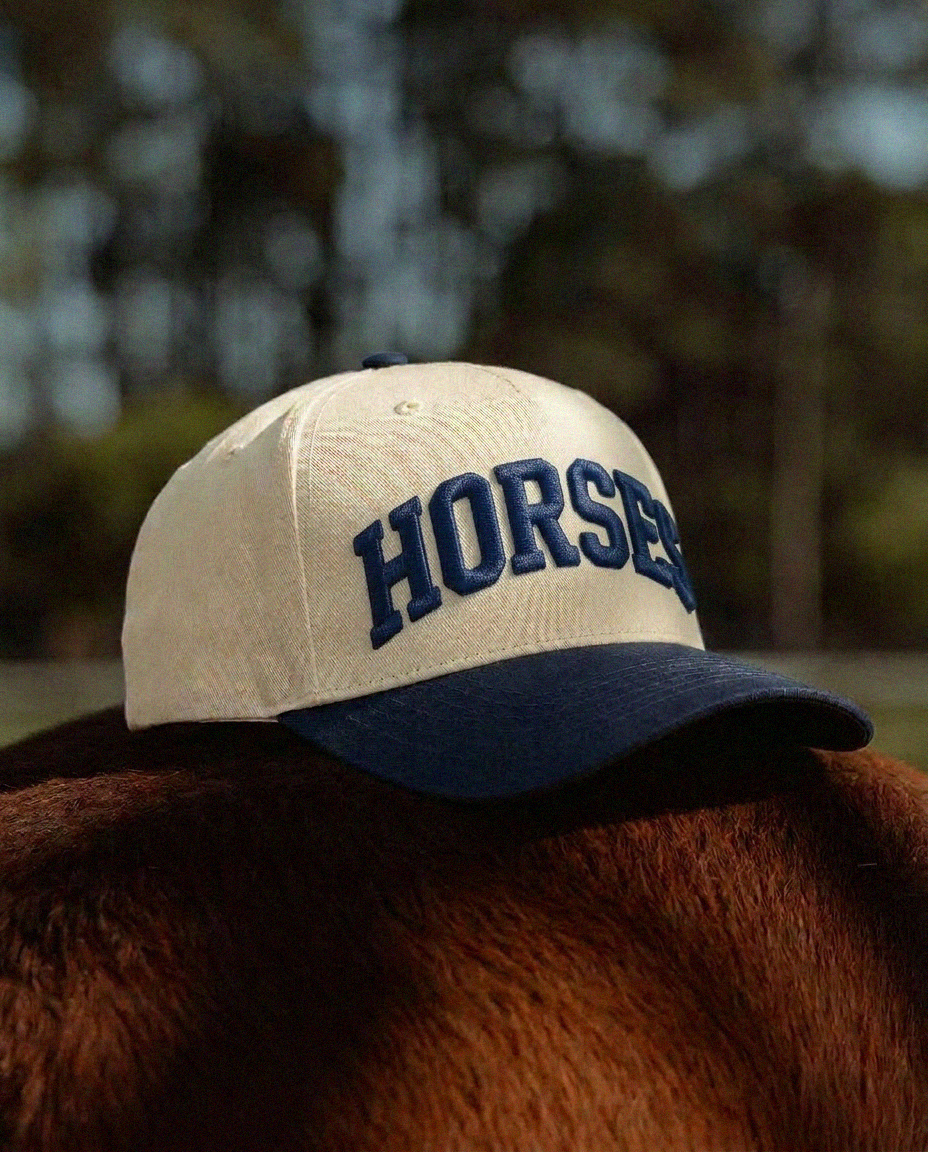 Horses Puff Embroidered Hat